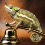 animal betting strategy guide