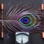 transformative betting energy dynamics